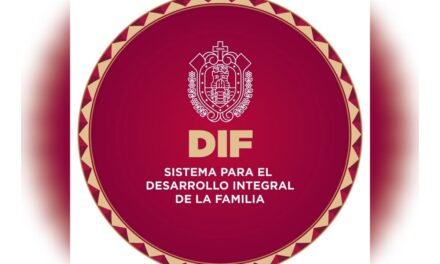 Ofrece CRISVER diagnósticos especializados de Electromiografía y Nasolaringoscopia Pediátrica