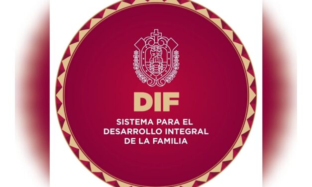 Ofrece CRISVER diagnósticos especializados de Electromiografía y Nasolaringoscopia Pediátrica