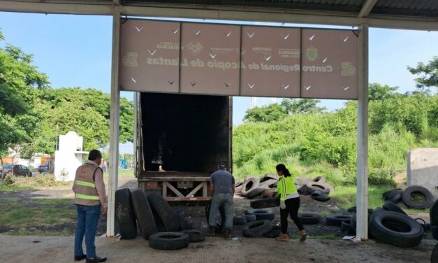 Más de 3 mil llantas en desuso dejan de contaminar en Coatzacoalcos tras ser trasladadas para su aprovechamiento
