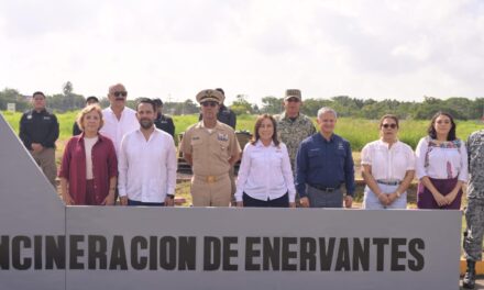 Encabeza Gobernadora destrucción de casi 800 kilos de drogas aseguradas en Veracruz