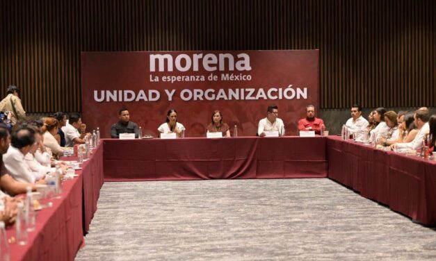 Del MORENA y otras elecciones