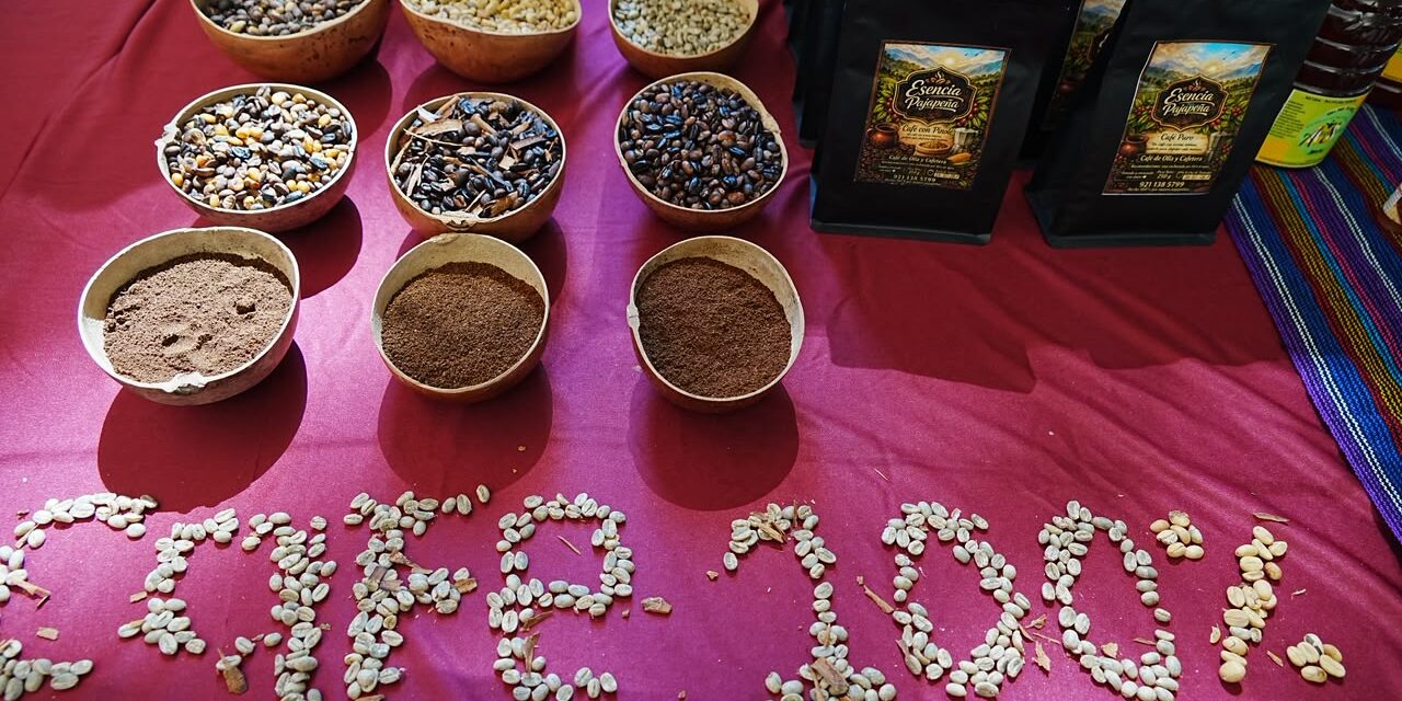 Foros Regionales de Café trazan una ruta para preservar la cultura cafetalera