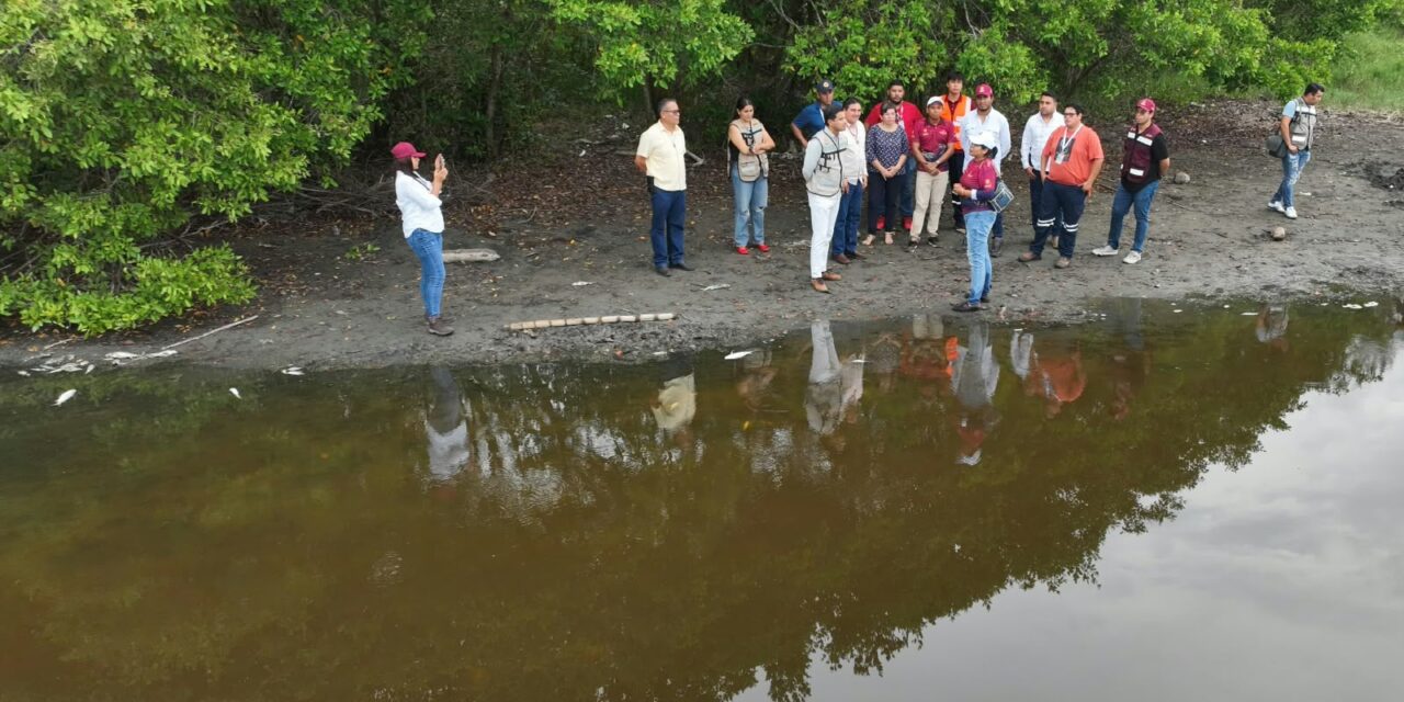Altas temperaturas y déficit de precipitación, factores asociados a mortandad de peces en Vega de Alatorre