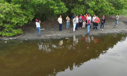 Altas temperaturas y déficit de precipitación, factores asociados a mortandad de peces en Vega de Alatorre