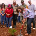 Veracruz se suma a la Jornada Nacional de Reforestación con 370 mil plantas en Acayucan
