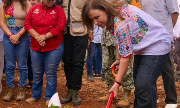 Veracruz se suma a la Jornada Nacional de Reforestación con 370 mil plantas en Acayucan