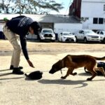 La Policía Municipal fortalece su Unidad Canina con certificación de agentes K9