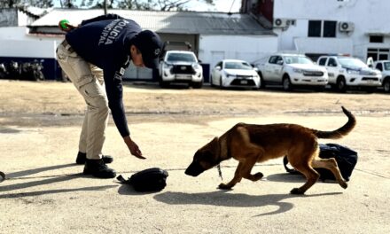 La Policía Municipal fortalece su Unidad Canina con certificación de agentes K9