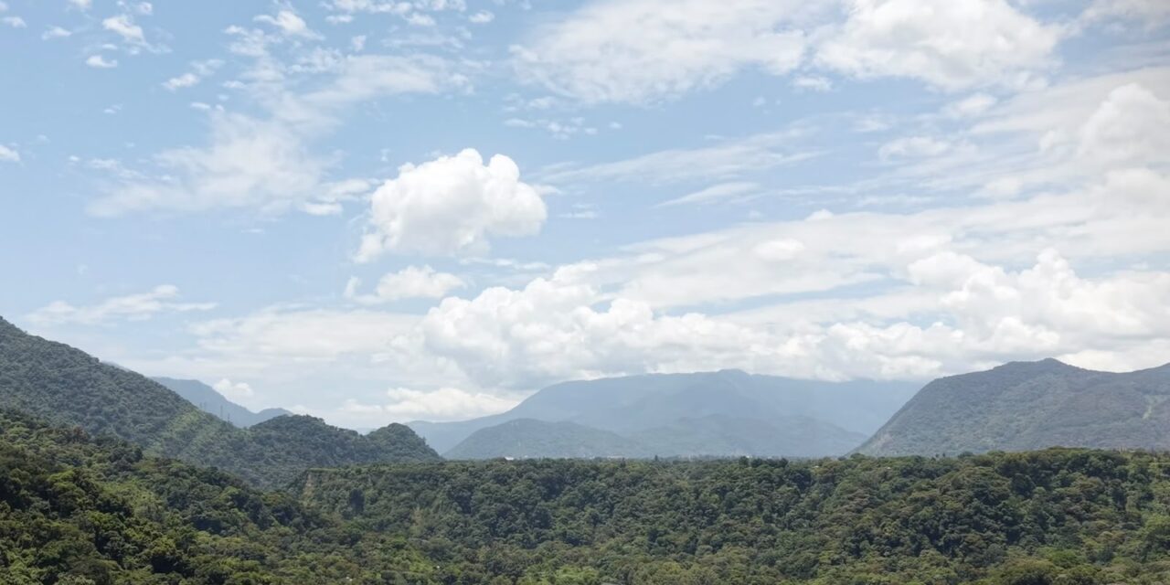 En un año, Sedema atendió más de 7 mil km del Área Natural Protegida Metlac-Río Blanco