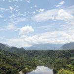 En un año, Sedema atendió más de 7 mil km del Área Natural Protegida Metlac-Río Blanco