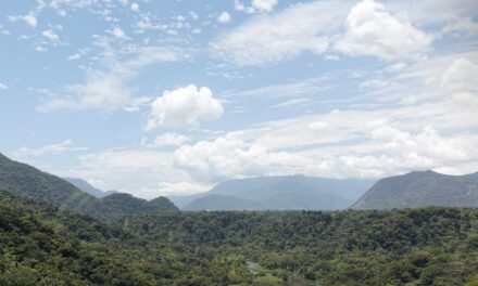 En un año, Sedema atendió más de 7 mil km del Área Natural Protegida Metlac-Río Blanco