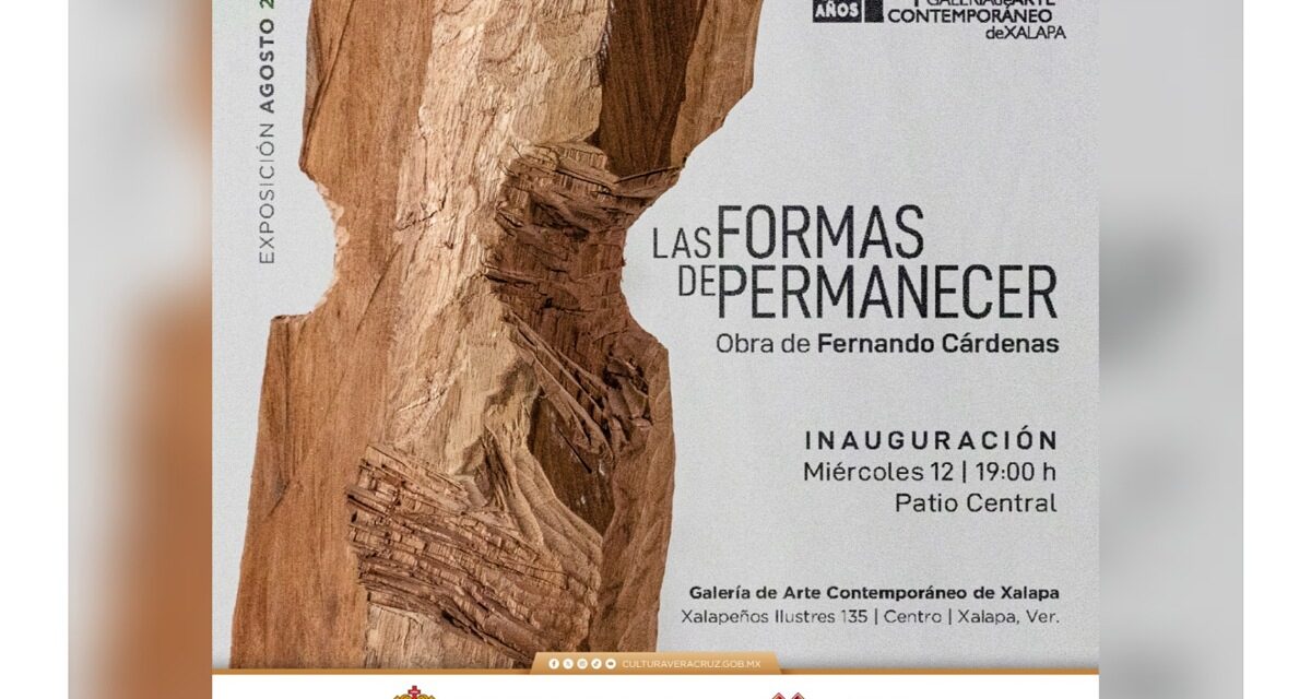 Muestra sobre vínculos humanos en la Galería de Arte Contemporáneo