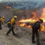 Durante 2026 la entidad veracruzana registra 81 incendios forestales y más de mil hectáreas con afectación