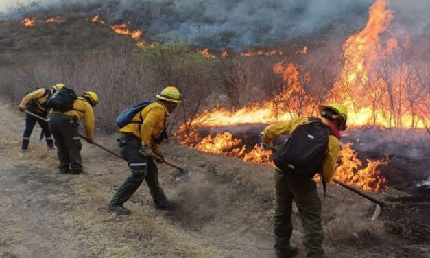 Durante 2026 la entidad veracruzana registra 81 incendios forestales y más de mil hectáreas con afectación