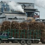 Hay que combatir el ingreso de azúcar de Guatemala que entra de contrabando al país y afecta a productores