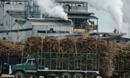 Hay que combatir el ingreso de azúcar de Guatemala que entra de contrabando al país y afecta a productores