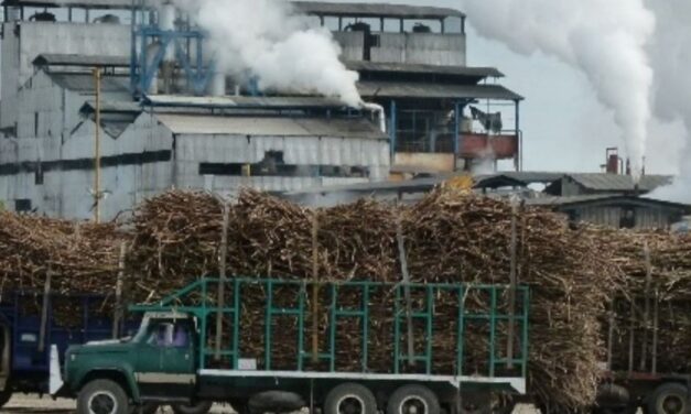 Hay que combatir el ingreso de azúcar de Guatemala que entra de contrabando al país y afecta a productores