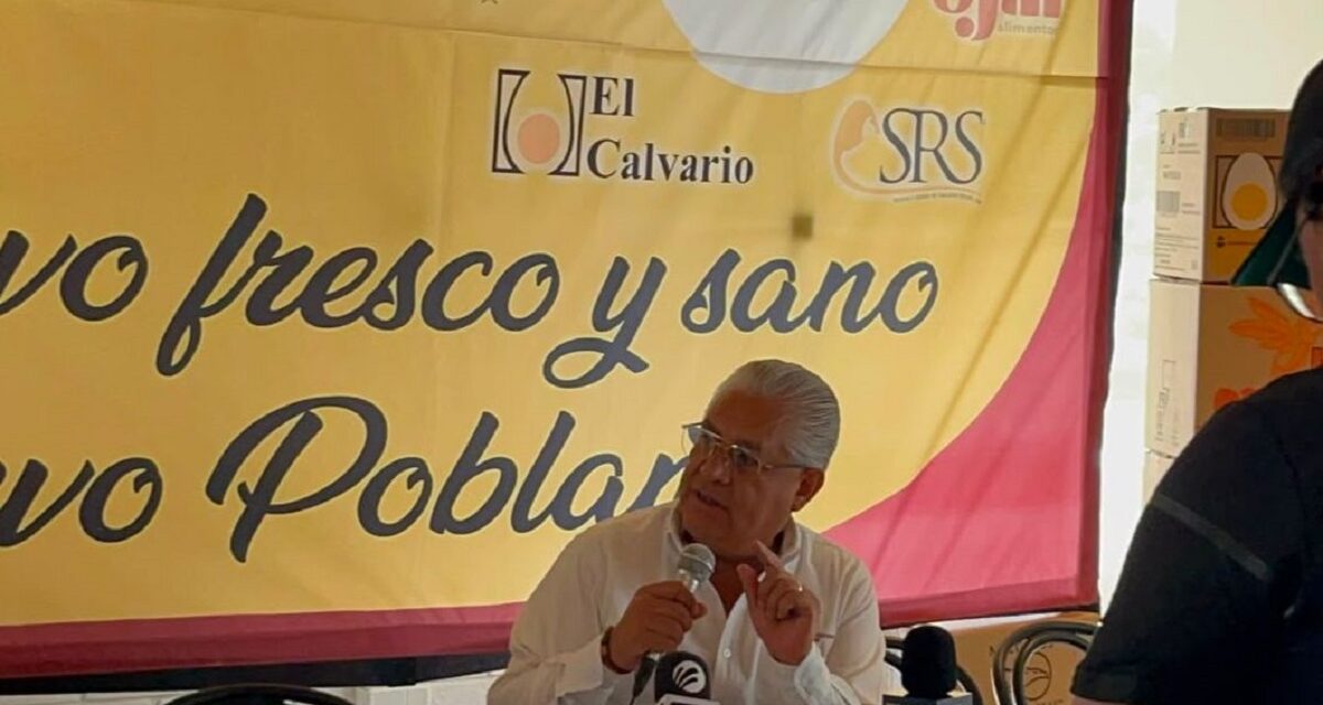 Consumo de huevo importado afecta economía de avicultores de Veracruz y Puebla
