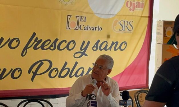 Consumo de huevo importado afecta economía de avicultores de Veracruz y Puebla