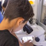 Aquarium de Veracruz ofrece 15% de descuento en el Taller de Verano