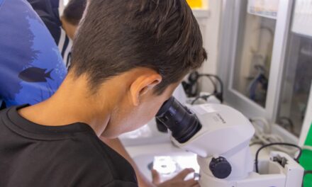 Aquarium de Veracruz ofrece 15% de descuento en el Taller de Verano