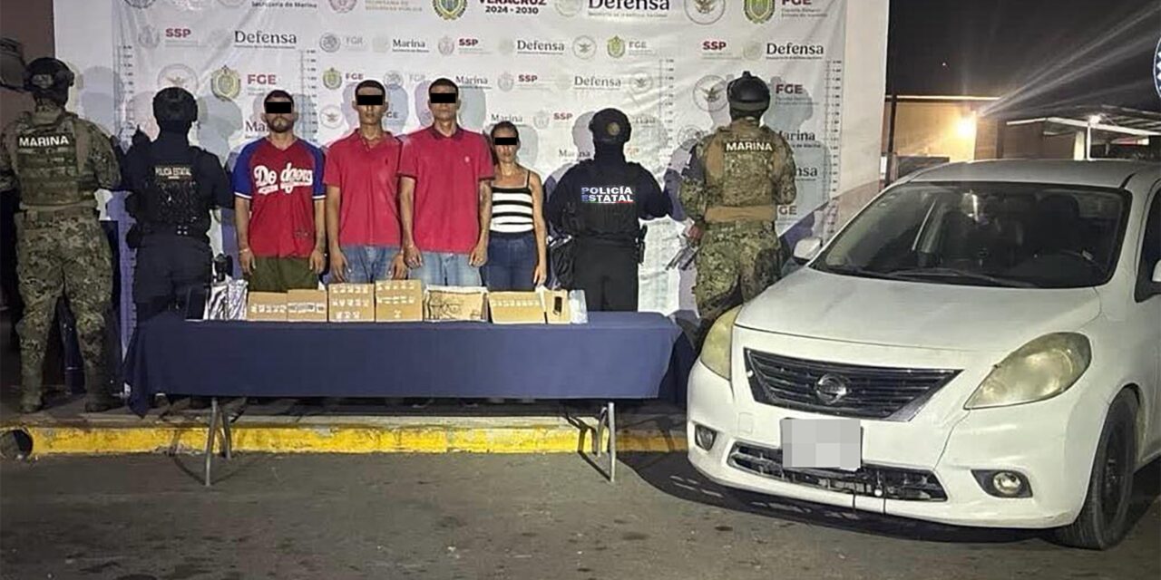Operativos coordinados: 184 dosis aseguradas y dos presuntos integrantes de una célula delictiva detenidos