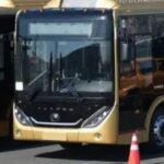 Autobuses Atenas, Totonacos y Papaloapan llegaron a México