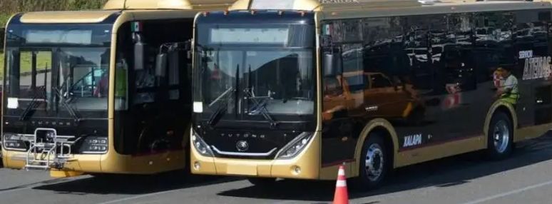 Autobuses Atenas, Totonacos y Papaloapan llegaron a México