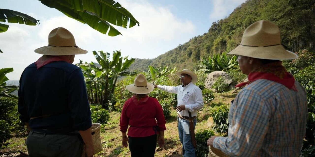 De norte a sur, descubre cuatro experiencias de turismo comunitario