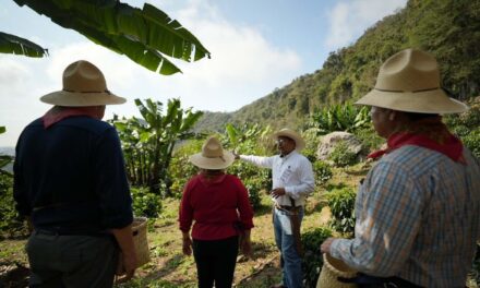 De norte a sur, descubre cuatro experiencias de turismo comunitario