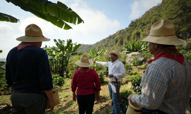 De norte a sur, descubre cuatro experiencias de turismo comunitario