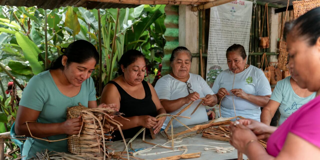 Explora una forma diferente de conocer Veracruz mediante el turismo comunitario