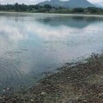 En 15 días Veracruz suma cien municipios anormalmente secos, así como dos con sequía severa y dos más con sequía moderada