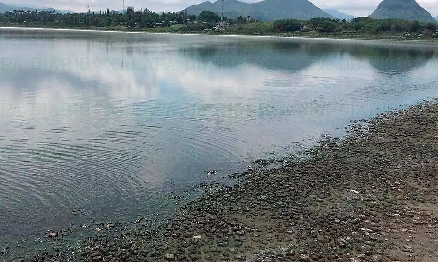 En 15 días Veracruz suma cien municipios anormalmente secos, así como dos con sequía severa y dos más con sequía moderada