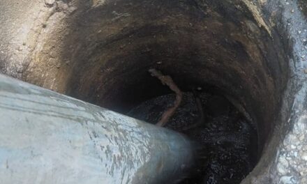 Atiende Ayuntamiento de Coatzacoalcos peticiones vecinales con limpieza pluvial en Las Gaviotas​