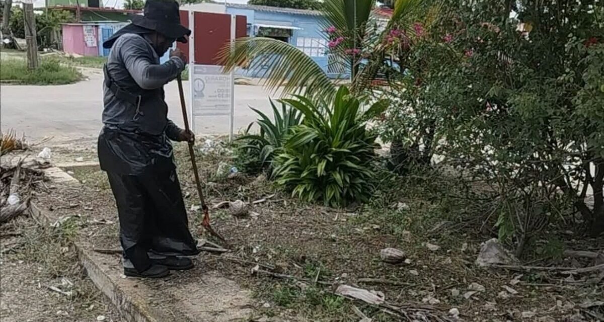 Mantiene Ayuntamiento de Coatzacoalcos labores ininterrumpidas de Limpia Pública en la ciudad