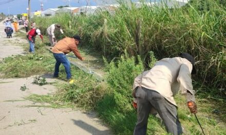 Realiza Ayuntamiento labores de poda, chapeo y fumigación en el bulevar Las Barrillas