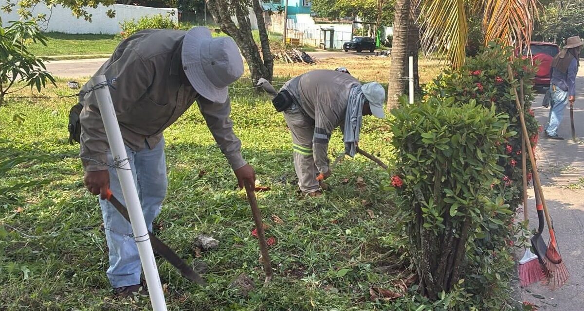 Realiza Ayuntamiento trabajos de mantenimiento y chapeo en camellones de Punta del Mar