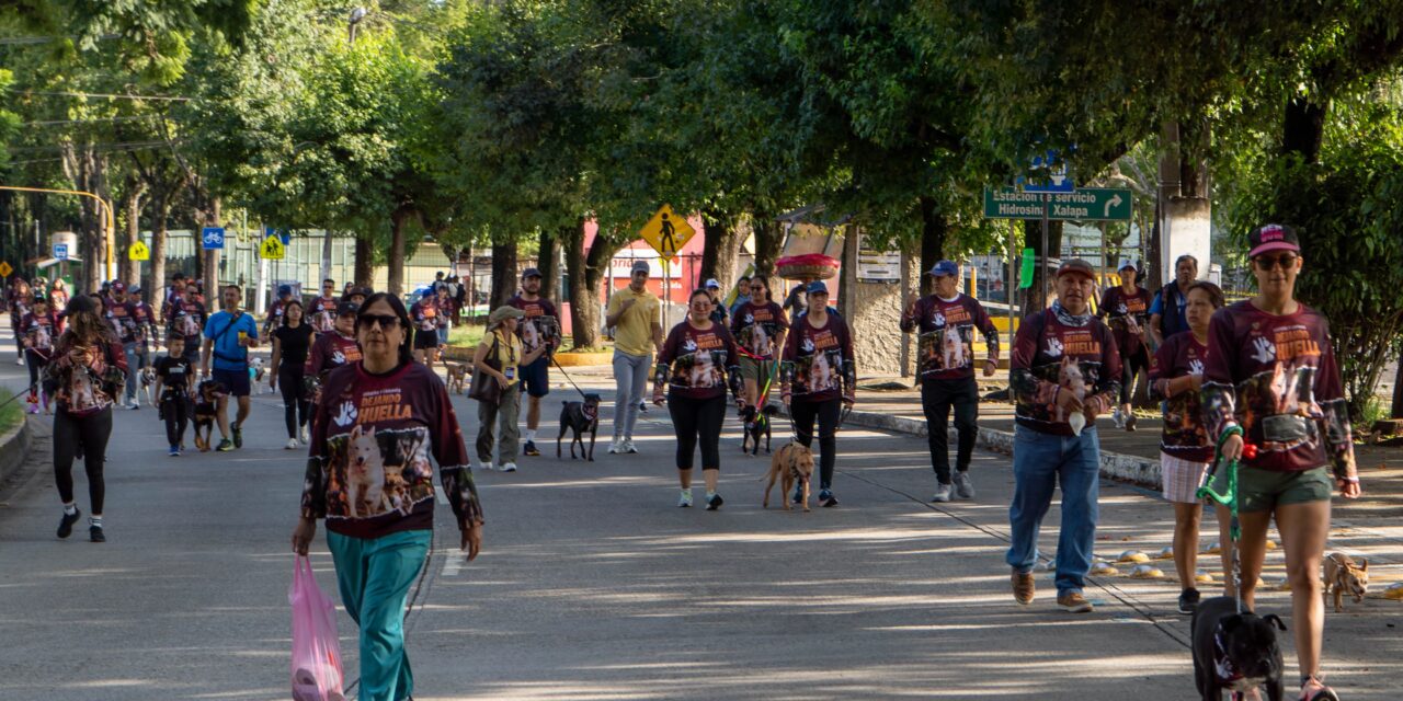 Carrera y caminata Dejando Huella recaudó más de dos toneladas de alimento para albergues de animales