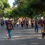 Carrera y caminata Dejando Huella recaudó más de dos toneladas de alimento para albergues de animales