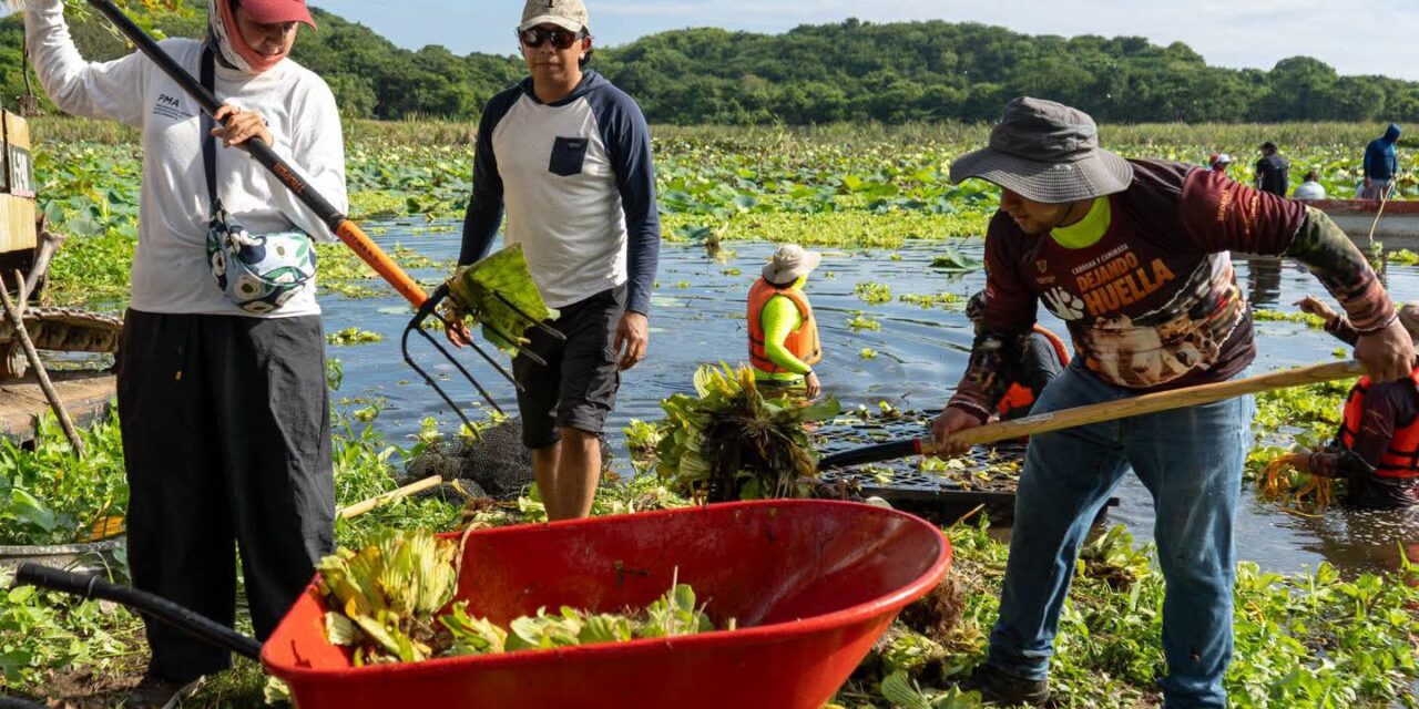 Inicia SEDEMA jornadas de limpieza en la Laguna de San Julián