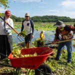 Inicia SEDEMA jornadas de limpieza en la Laguna de San Julián