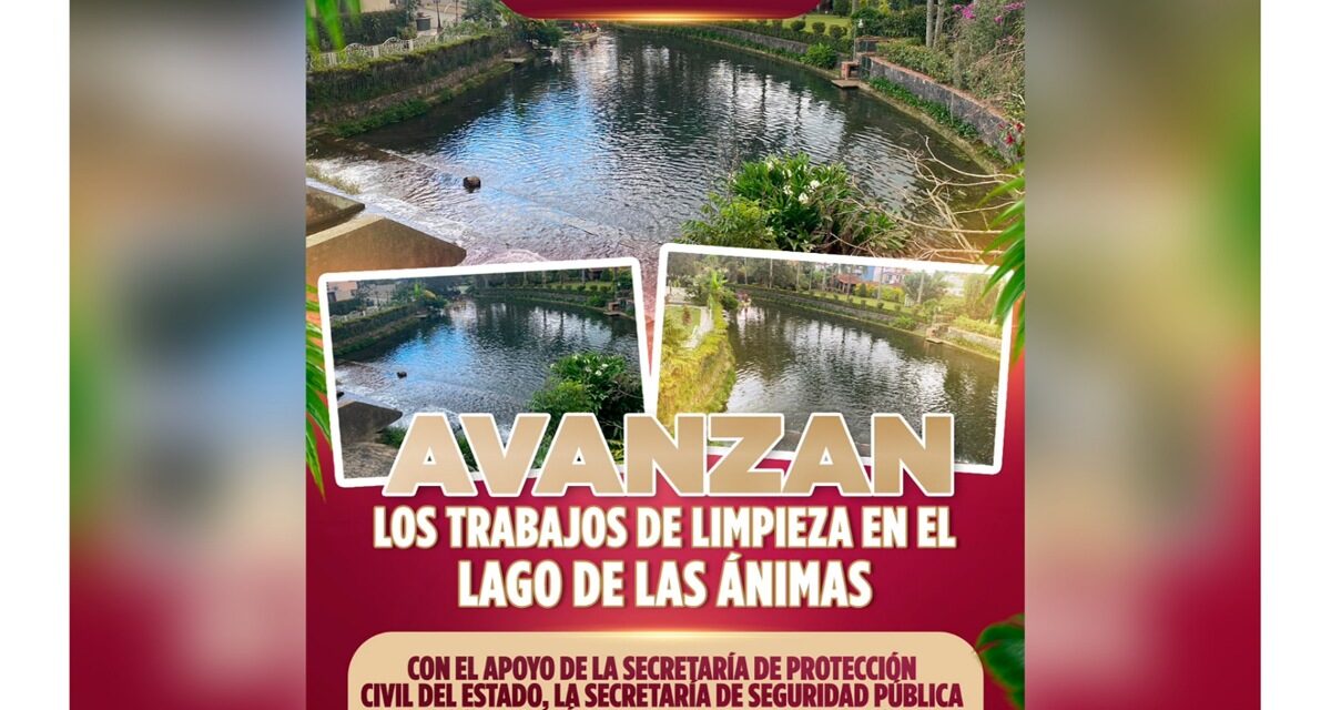 Gobierno de Veracruz realiza labores de limpieza en lago de Las Ánimas