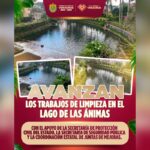 Gobierno de Veracruz realiza labores de limpieza en lago de Las Ánimas