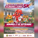 Salud se suma a las actividades para promover la donación de órganos y tejidos