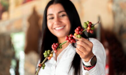 Vive Veracruz a través de sus comunidades y tradiciones