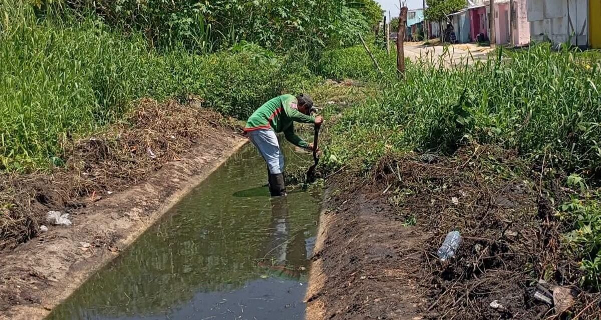 Atiende Ayuntamiento de Coatzacoalcos peticiones ciudadanas con limpieza de cunetas en Ciudad Olmeca