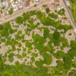 Coatzacoalcos reforzará limpieza y fumigación de panteones con el programa “Descanso Digno”