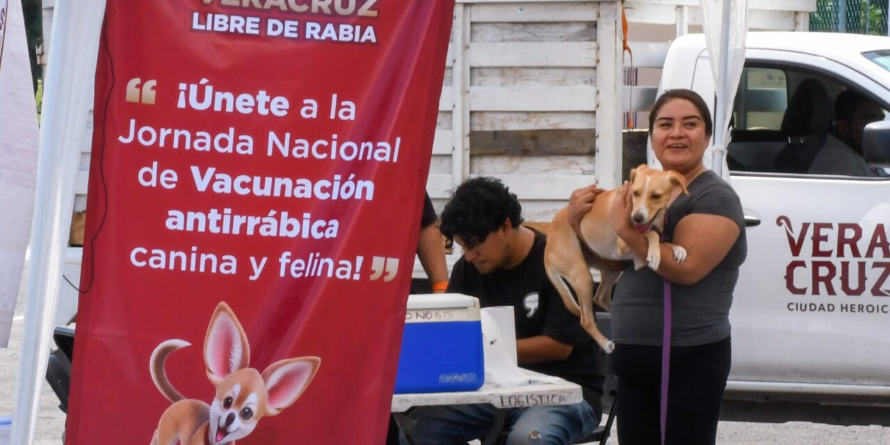 Hasta el 26 de septiembre, Jornada de Reforzamiento de Vacunación Antirrábica