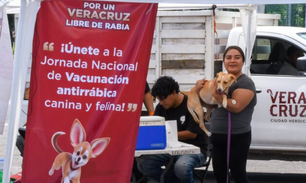 Hasta el 26 de septiembre, Jornada de Reforzamiento de Vacunación Antirrábica